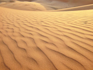 The wind, the sand, yourself