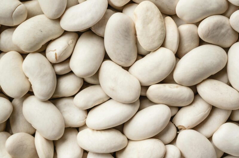 Cannellini beans in Alfredo sauce